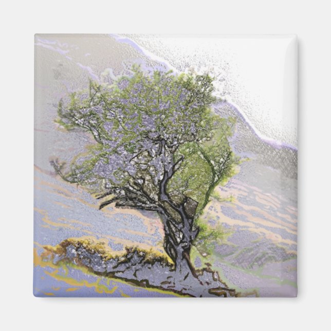 BÄUME MAGNET (Vorne)