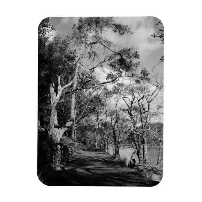 BÄUME MAGNET (Vertikal)