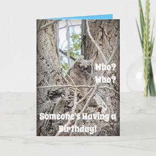 Bäume mit Babyschüssel, die durch Zweige herunter  Karte