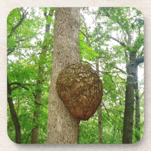 Bäume mit großem beiliegendem getränkeuntersetzer