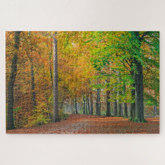 Bäume mit Herbstlaub in einem Wald Puzzle (Horizontal)