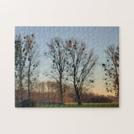 Bäume mit Mistletoe gegen einen klaren Himmel Puzzle