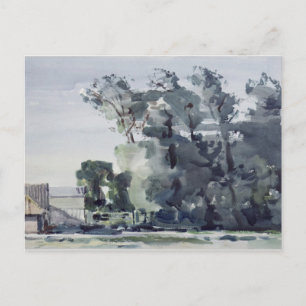 Bäume - Morgengrauen Postkarte