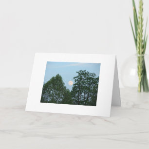 Bäume, motivierend Zitat Karte
