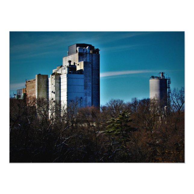 "Bäume: Nur für begrenzte Zeit" Fotodruck (Vorne)