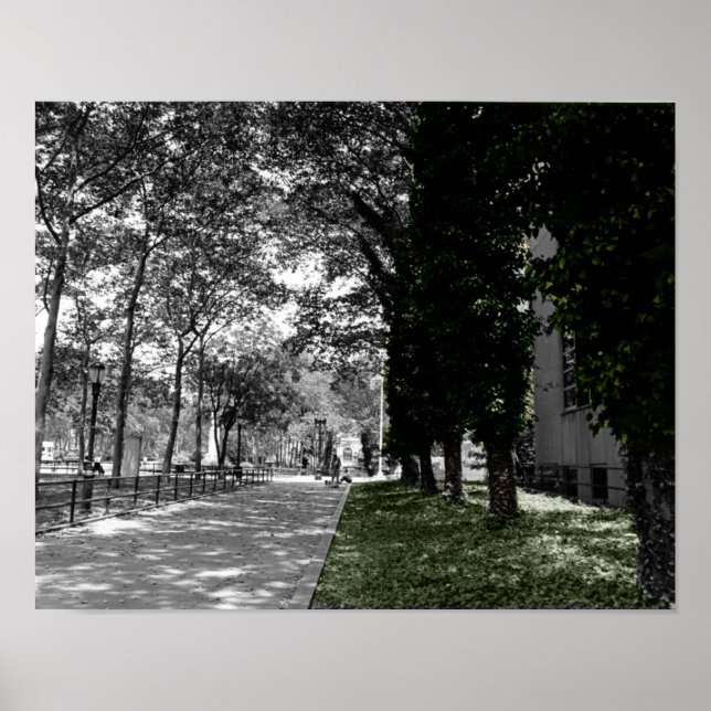 Bäume Poster (Vorne)