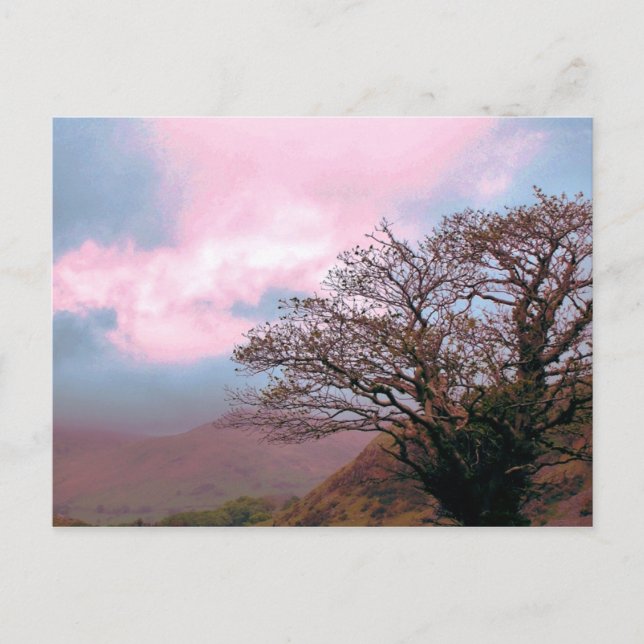 BÄUME POSTKARTE (Vorderseite)