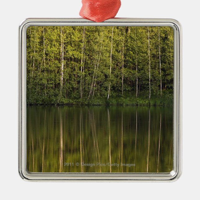 Bäume reflektiert im Wasser Silbernes Ornament (Vorne)