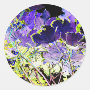 BÄUME RUNDER AUFKLEBER