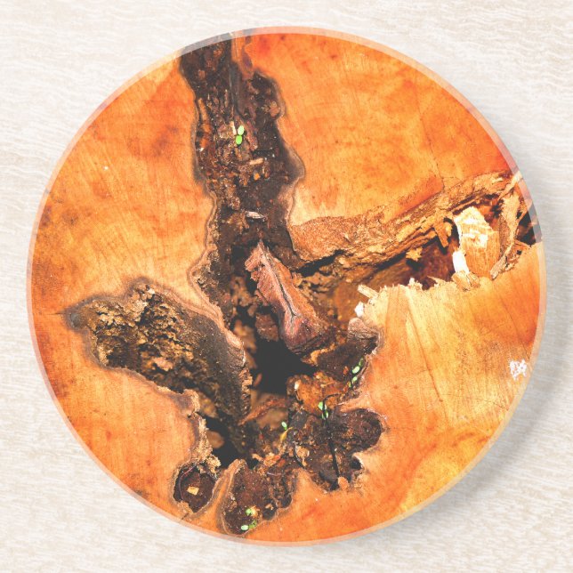 BÄUME SANDSTEIN UNTERSETZER (Vorne)