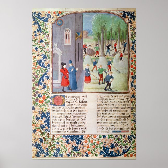 Bäume schneiden und ernten poster (Vorne)