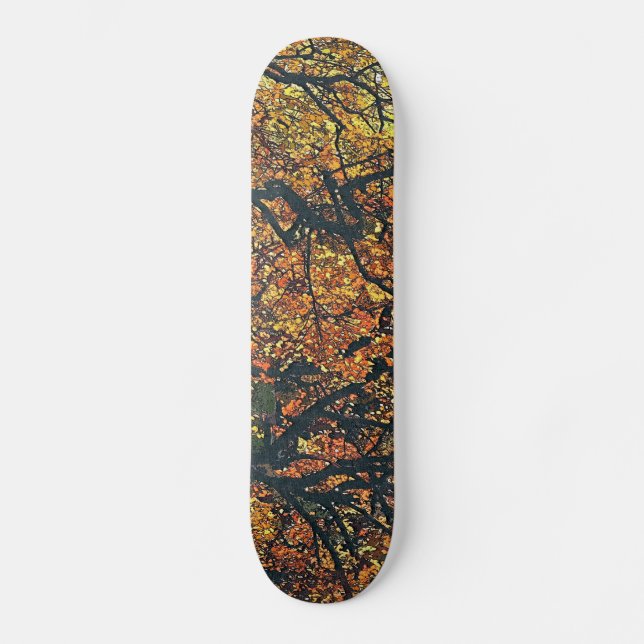 BÄUME SKATEBOARD (Vorderseite)