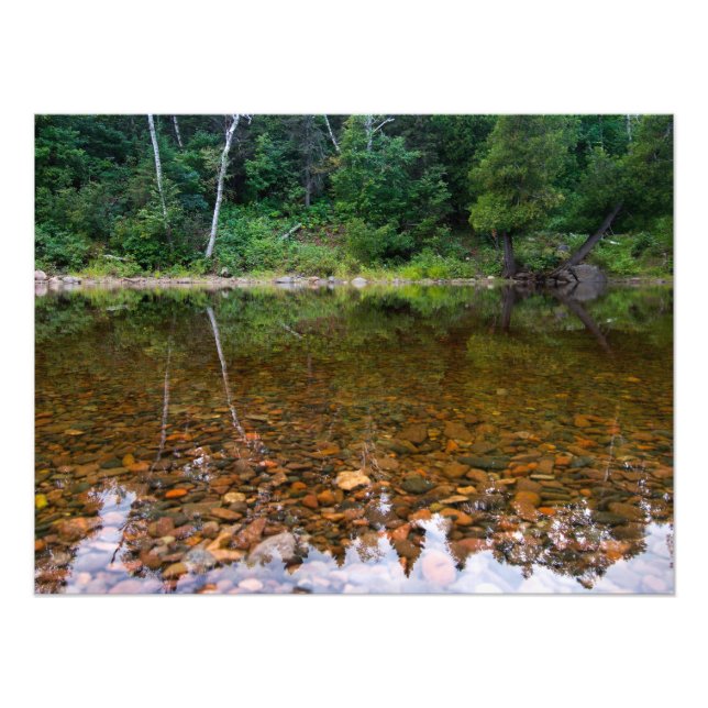 Bäume über dem Felsenteich Fotodruck (Vorne)