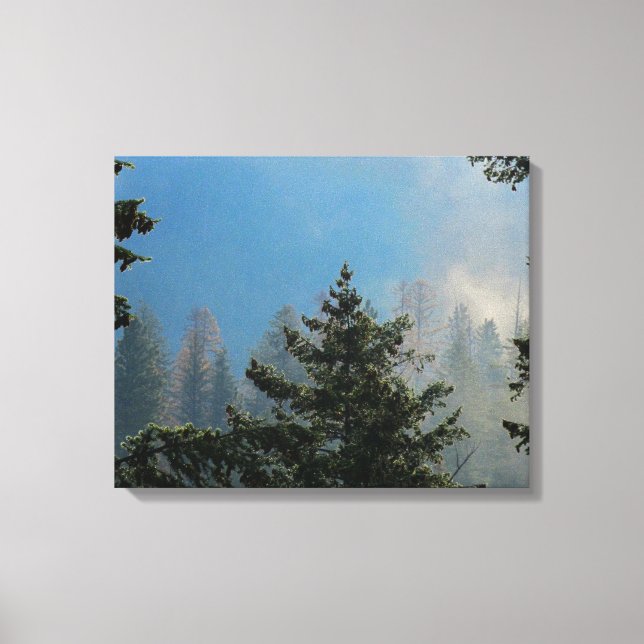 Bäume ummantelte Canvas Leinwanddruck (Vorderseite)