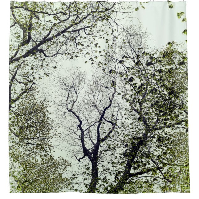Bäume und Blätter Olivenöl und Meeresfrüchte Grüne Duschvorhang (Vorderseite)