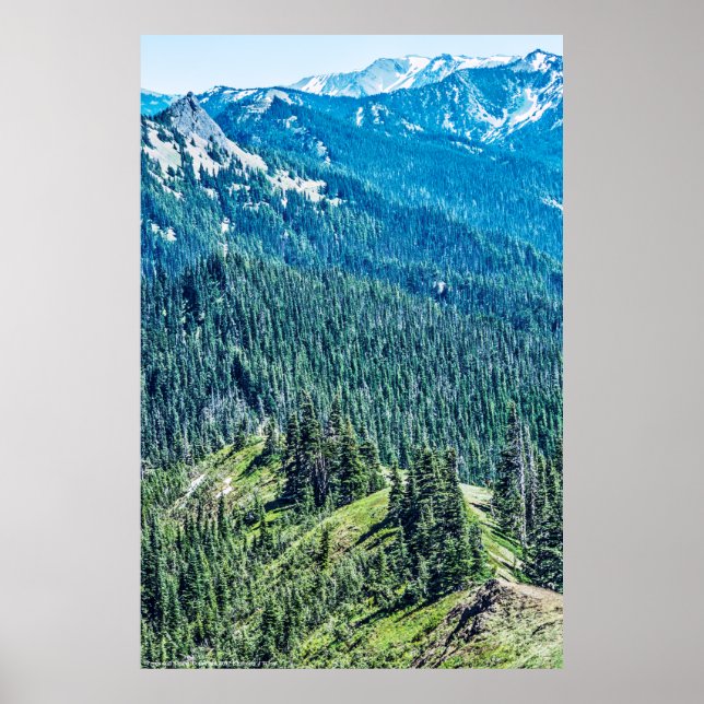 Bäume und Brücken Poster (Vorne)