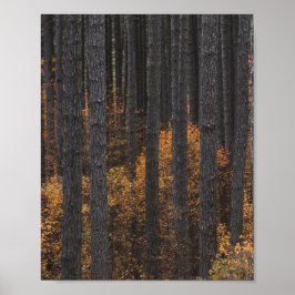 Bäume und goldenes Herbstblättern Poster