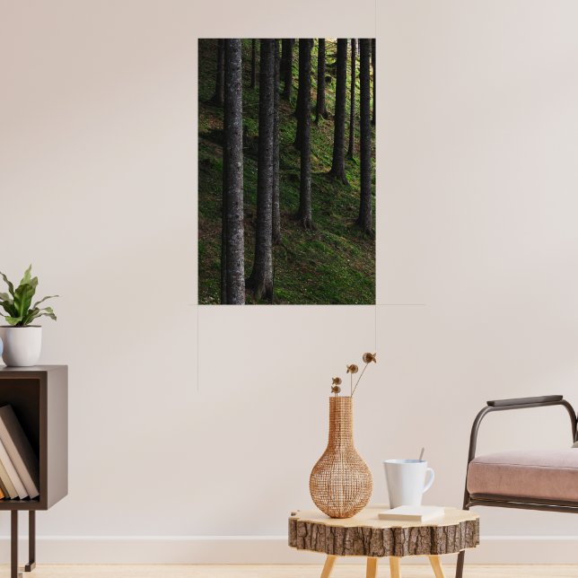 Bäume und grüne Moos Poster (Wohnzimmer 3)