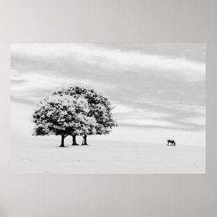 Bäume und Pferd Poster