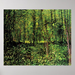Bäume und Unterwuchs Poster