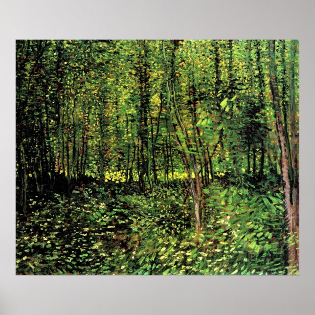 Bäume und Unterwuchs Poster (Vorne)