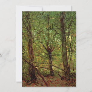 Bäume und Unterwuchs von Vincent van Gogh