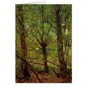 Bäume und Unterwuchs von Vincent van Gogh