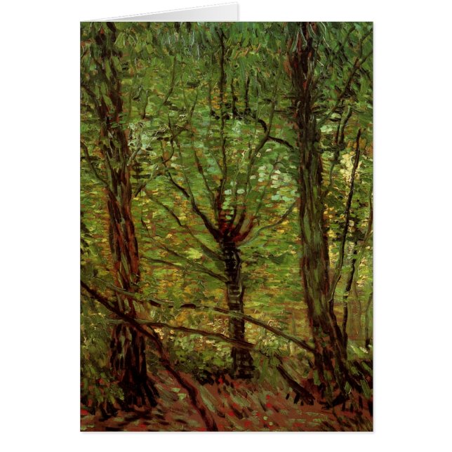 Bäume und Unterwuchs von Vincent van Gogh (Vorne)
