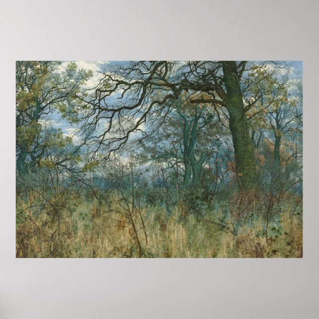 Bäume und Unterwuchs - William Fraser Garden Poster (Vorne)