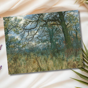 Bäume und Unterwuchs - William Fraser Garden Postkarte