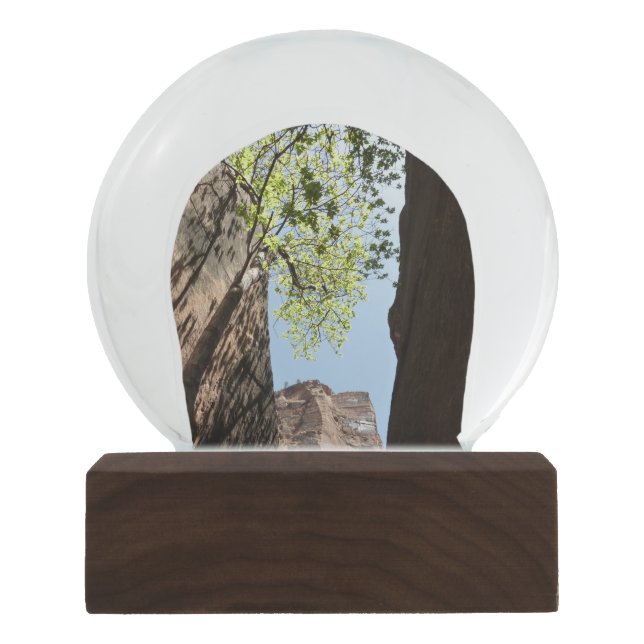 Bäume wachsen zwischen Felsen im Zion Nationalpark Schneekugel (Vorderseite)