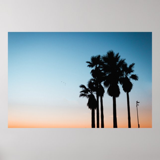 Bäume während der goldenen Stunde Poster (Vorne)