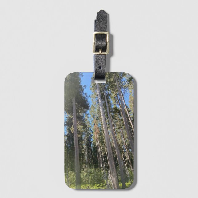 Bäume Wald Natur Wald Gepäckanhänger (Vorderseite Vertikal)