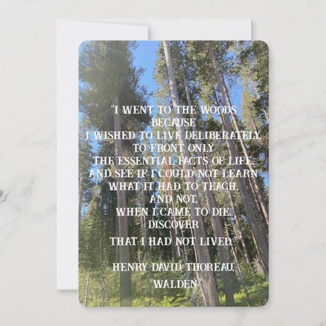 Bäume Wald Woods Thoreau Einladung (Vorderseite)