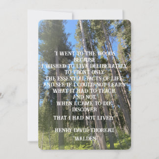Bäume Wald Woods Thoreau Einladung