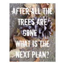 Bäume Wälder Erhaltung des Erdklimas