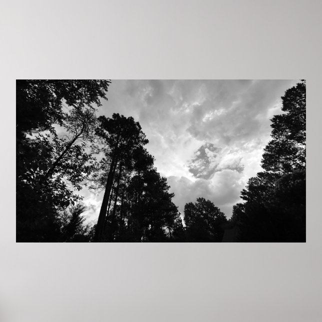Bäume & Wolken, Poster (Vorne)