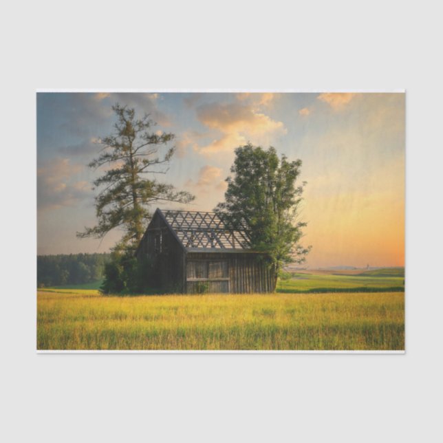 Bäume zum Schutz eines halb fertig gestellten Stal Seidenpapier (Vorderseite)