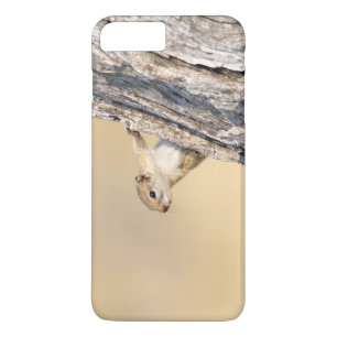 Baumeichhörnchen Case-Mate iPhone Hülle