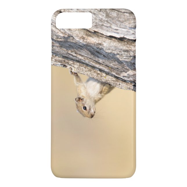 Baumeichhörnchen Case-Mate iPhone Hülle (Rückseite)