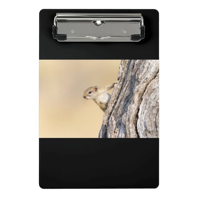 Baumeichhörnchen Mini Klemmbrett (Vorderseite)