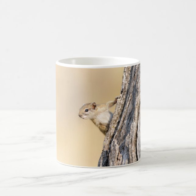 Baumeichhörnchen Tasse (Mittel)