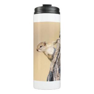 Baumeichhörnchen Thermosbecher