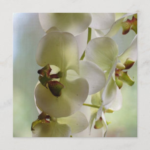 Baumelnde Orchideen-Einladungen Einladung