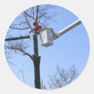 Baumentnahme ~ Aufkleber