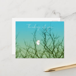 Baumfotografie Postkarte