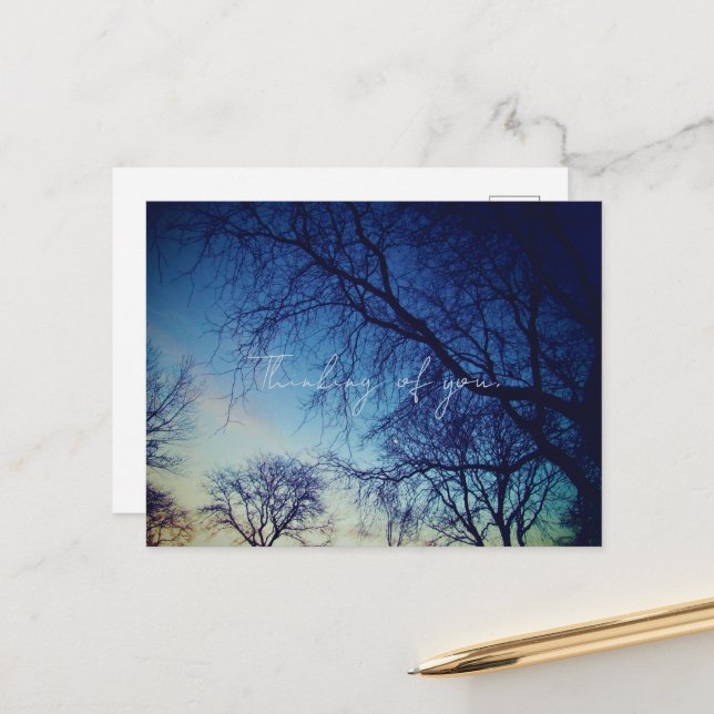 Baumfotografie Postkarte (Vorderseite/Rückseite Beispiel)