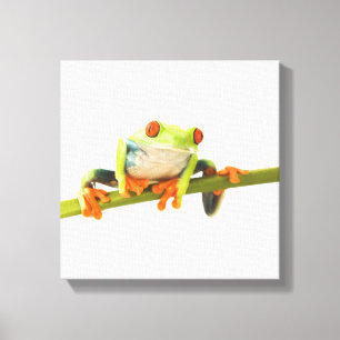 Baumfrosch auf Stamm Leinwanddruck