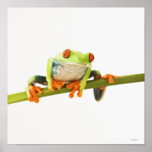 Baumfrosch auf Stamm Poster