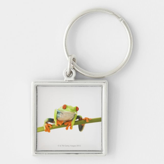 Baumfrosch auf Stamm Schlüsselanhänger (Vorne)